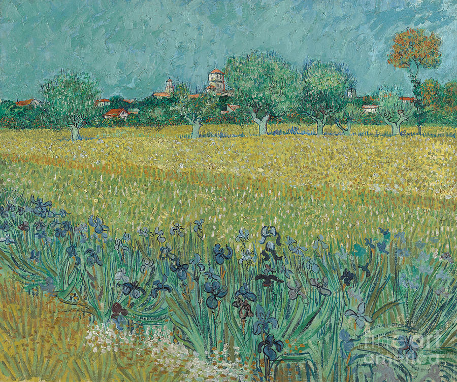 Field with Flowers near Arles, 1888 Painting by Vincent Van Gogh