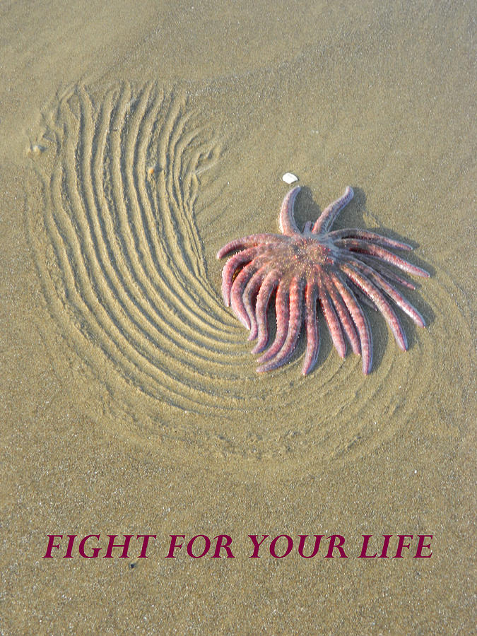 Fight For  Your Life #3 Photograph by Gallery Of Hope 