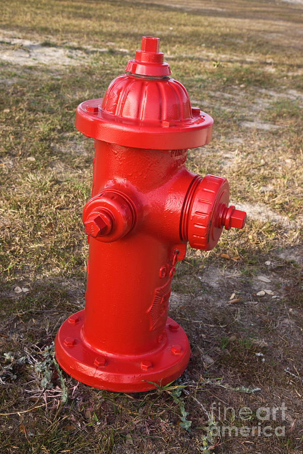 Fire Hydrant Photograph by Inga Spence - Pixels