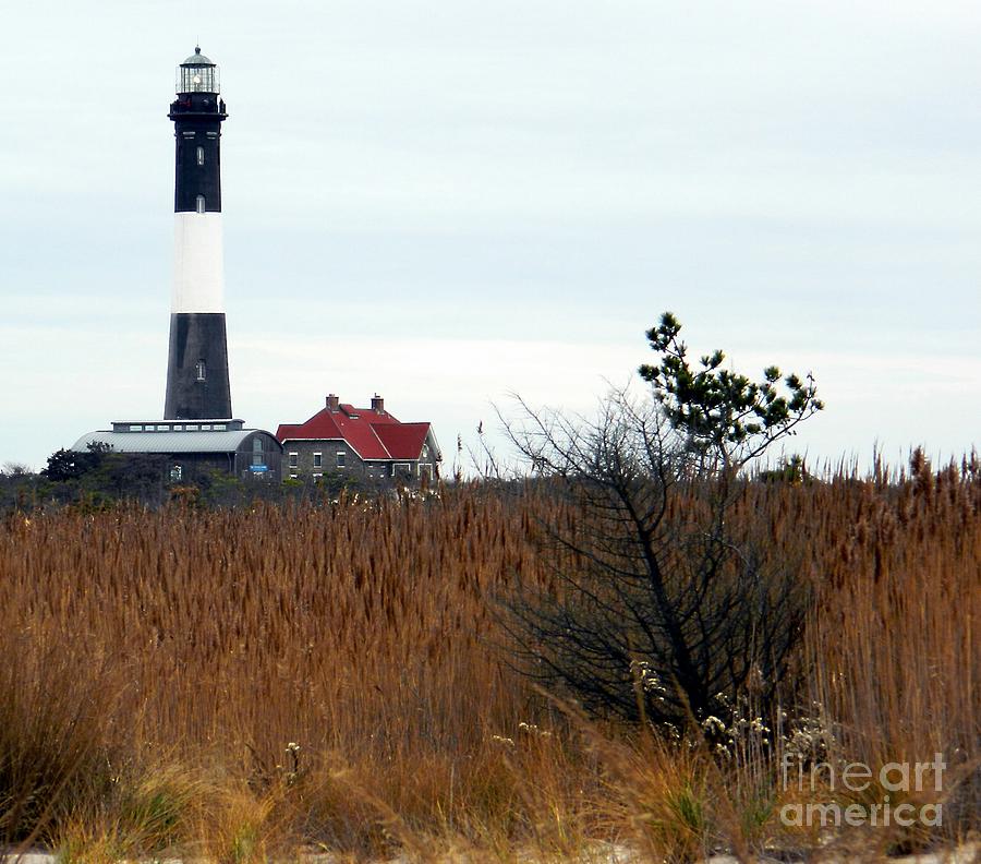 Fire Island Lighthouse  #2 Photograph by Raymond Earley