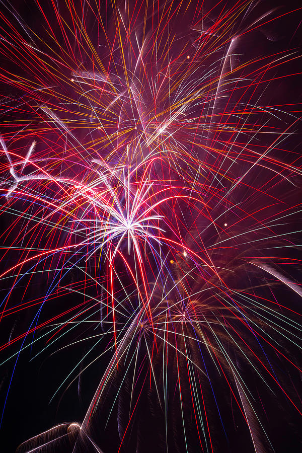 Independence Day Photograph - Fireworks Exploding #3 by Garry Gay