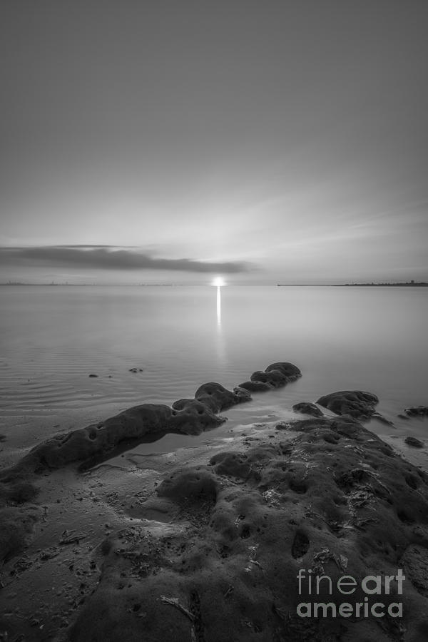First Light BW #2 Photograph by Michael Ver Sprill