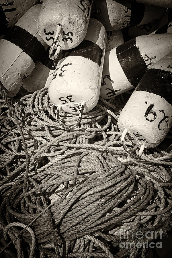 Fishing floats and rope 1 Photograph by Elena Elisseeva