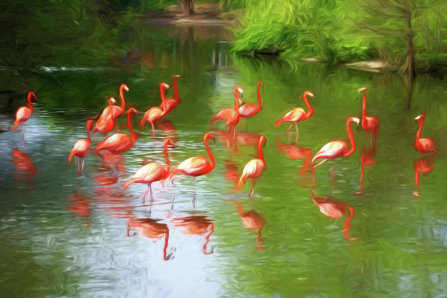 Flamingos #2 Photograph by John Freidenberg