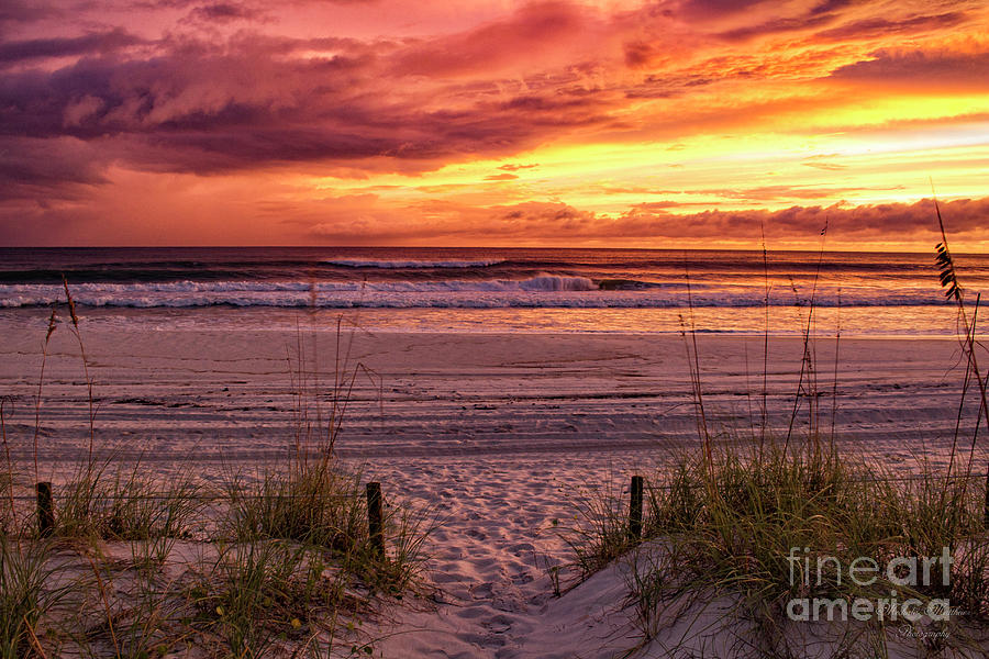 Florida Sunset by Mechala Matthews Florida Sunset by Mechala Matthews