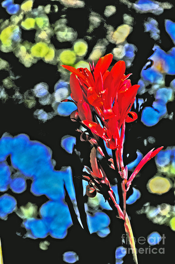 Impressionistic Red Wild Flower Photograph by David Frederick