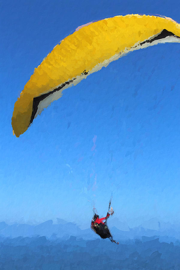 Flying High Photograph by Modern Art - Fine Art America