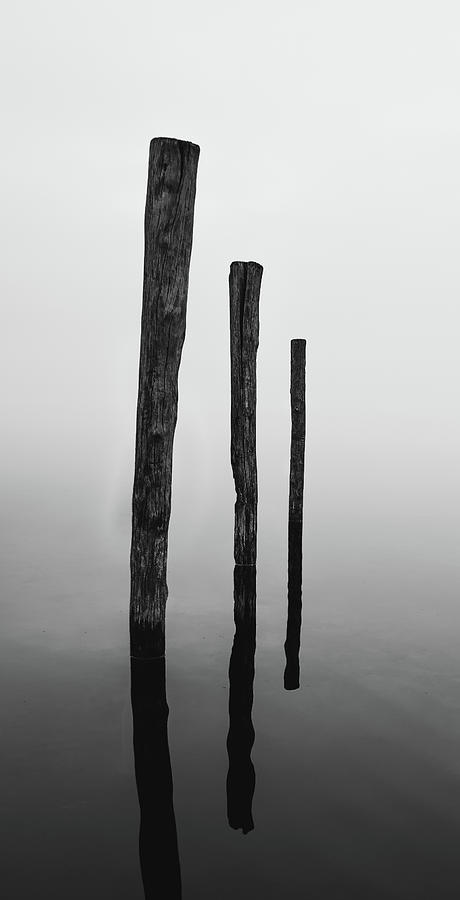 Fog #2 Photograph by Dave Niedbala