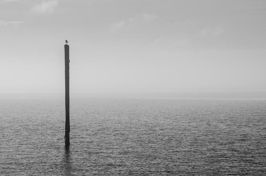 Fog on the Cape Fear River by Willard Killough III Fog on the Cape Fear River by Willard Killough III