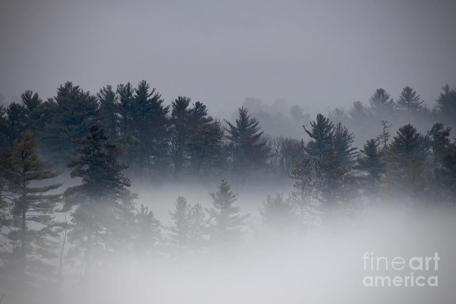 Foggy Mountains #2 Photograph by Deena Withycombe Foggy Mountains #2 Photograph by Deena Withycombe