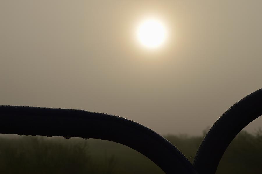 Foggy Sunrise #2 Photograph by Warren Thompson