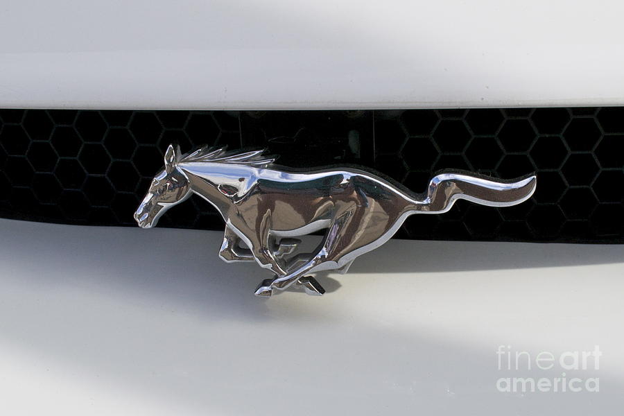 Ford Mustang Emblem #3 Photograph by Pamela Walrath