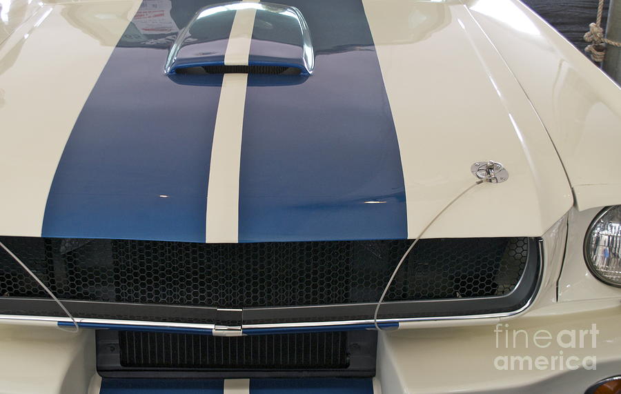 Ford Mustang Shelby #2 Photograph by Pamela Walrath