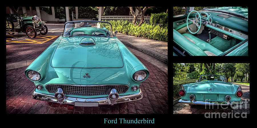Ford Thunderbird #5 Photograph by Adrian Evans