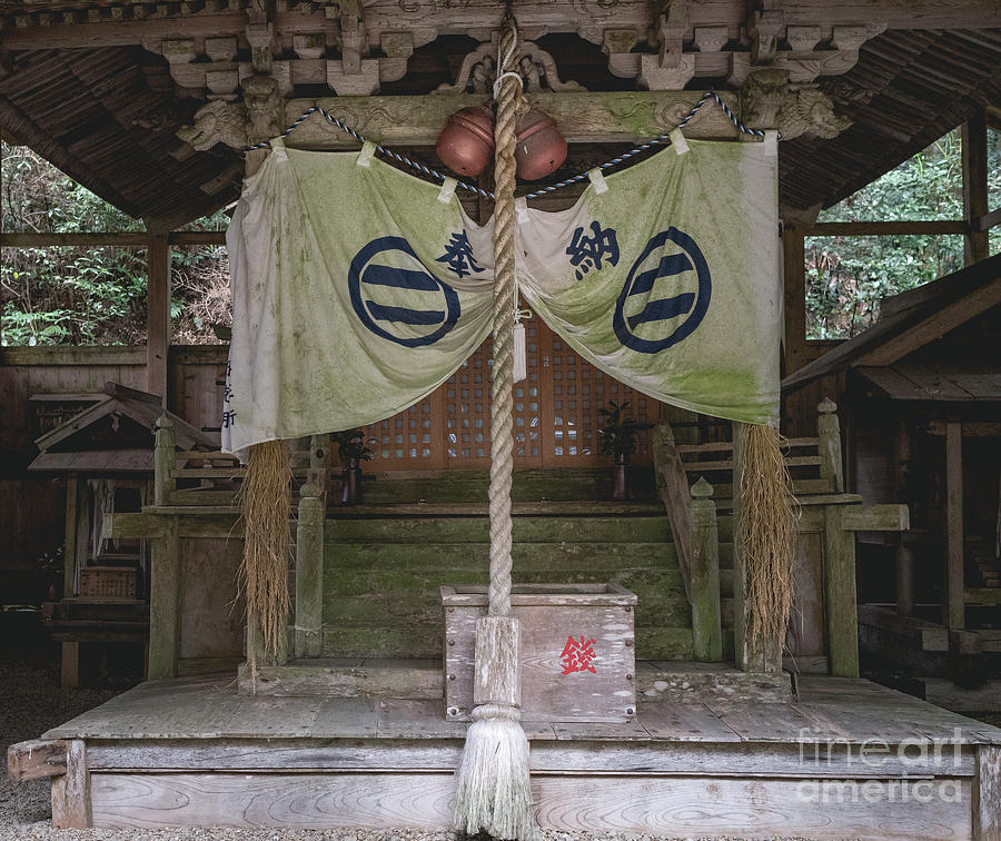 Forrest Shrine, Japan #2 Photograph by Perry Rodriguez