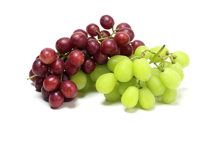 Fresh Ripe Grapes Isolated on White Background #2 Photograph by Donald ...