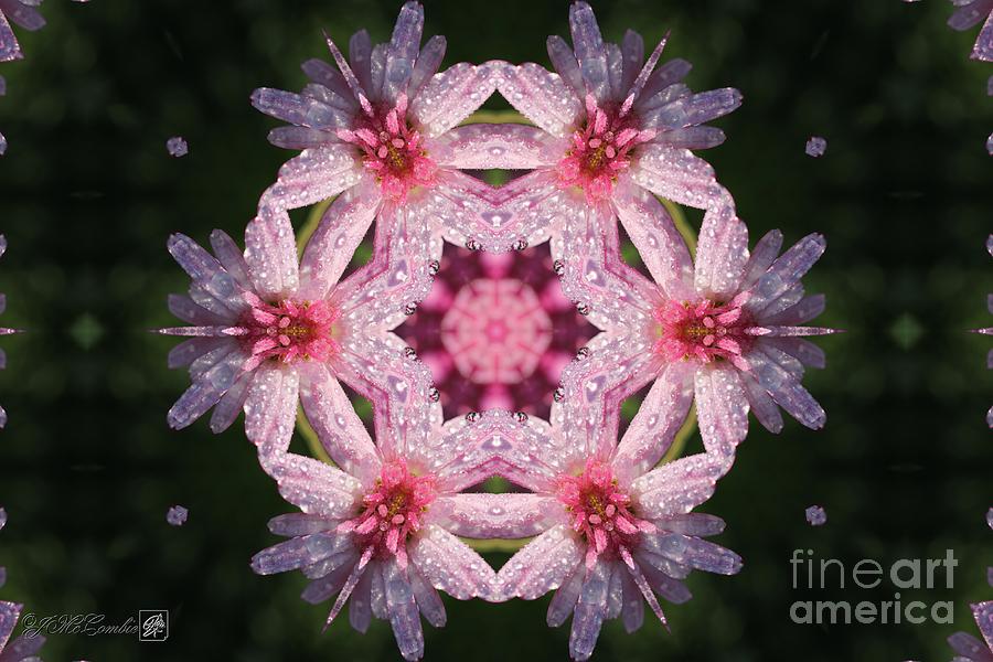 Frosted Double Pink Abstract #2 Digital Art by J McCombie