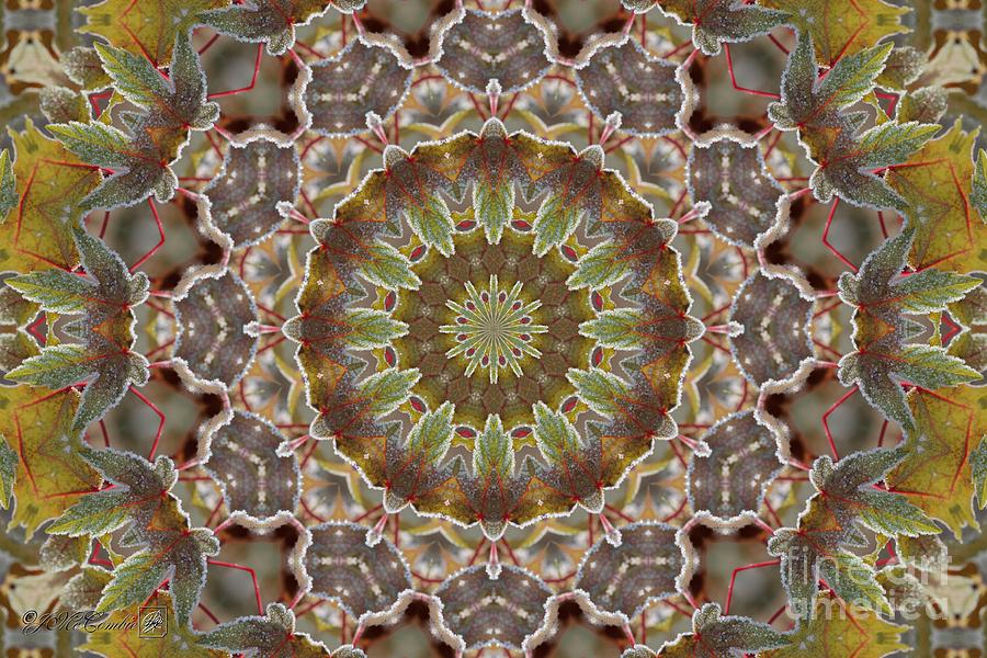 Frosted Maple Leaf Kaleidoscope #1 Digital Art by J McCombie