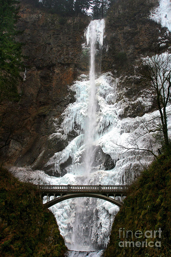 Frozen Multnomah Falls #3 Photograph by Bruce Block