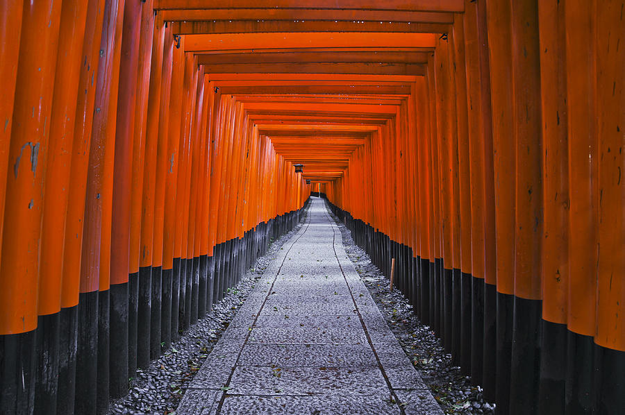 Fushimi Inari Taisha Photograph by Brian Kamprath