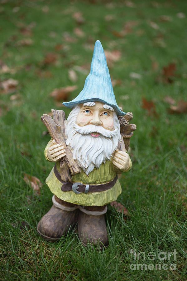 Garden Gnome #2 Photograph by Edward Fielding