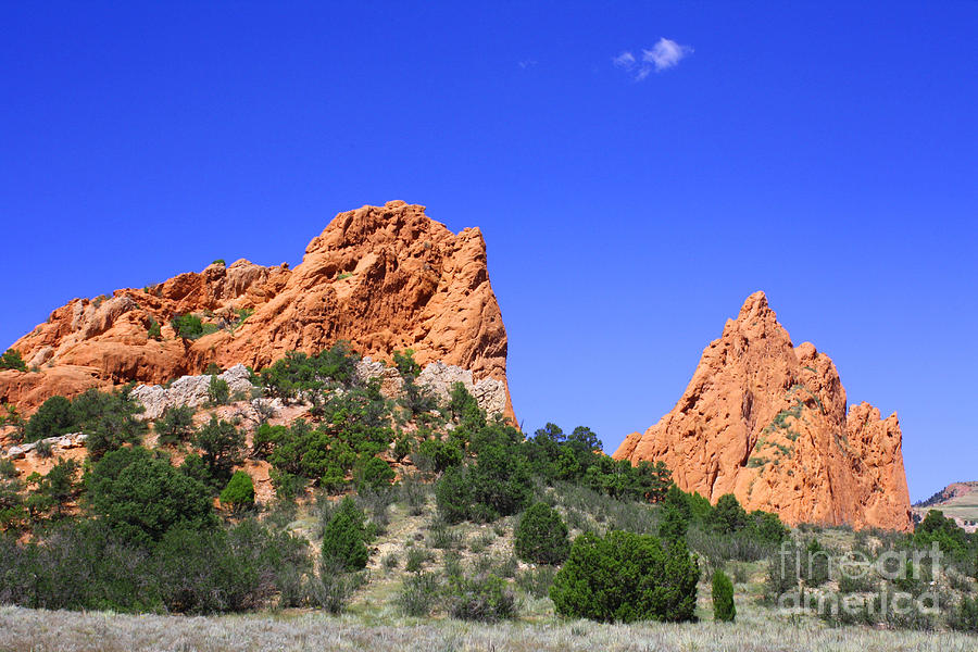 Garden of the Gods #2 Photograph by Tommy Anderson
