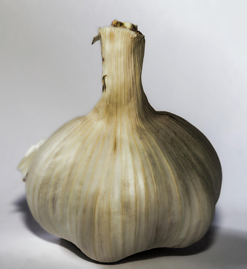 Garlic Still Life #2 Photograph by Robert Ullmann