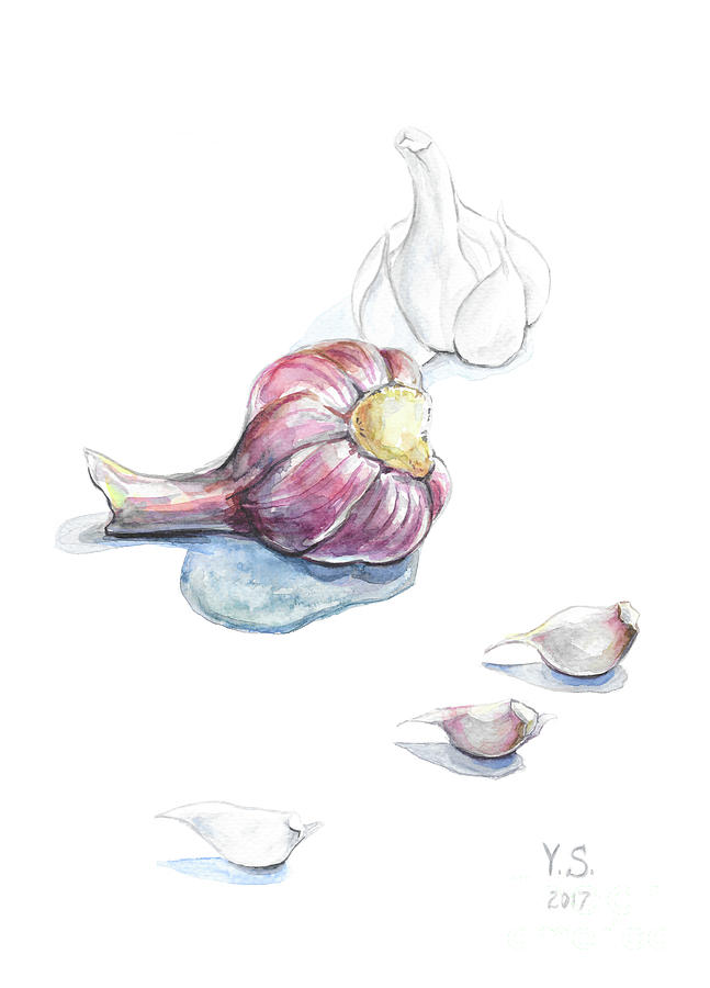 Garlic Painting - Garlic #2 by Yana Sadykova