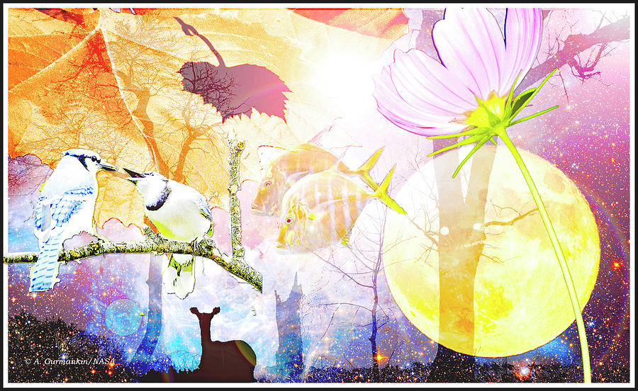 Genesis Collage #2 Digital Art by A Macarthur Gurmankin