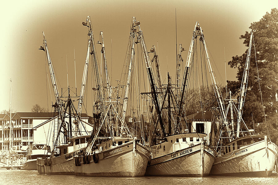 Georgetown Shrimpers Photograph by Bill Barber