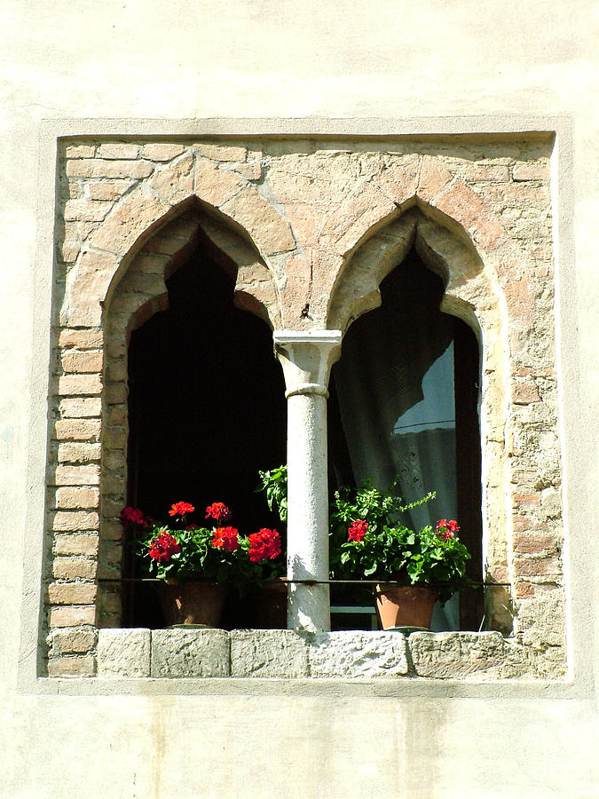 2 Geraniums in Ornate Window Photograph by Donna Corless