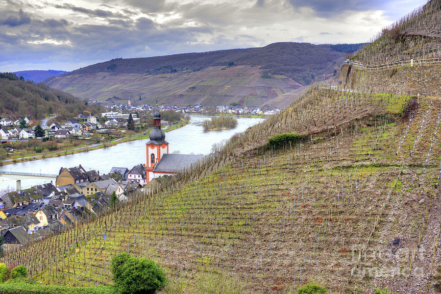 German Wine Country #2 Photograph by Juli Scalzi