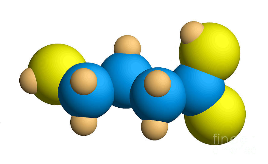 Ghb Photograph - Ghb Molecular Model #2 by Scimat