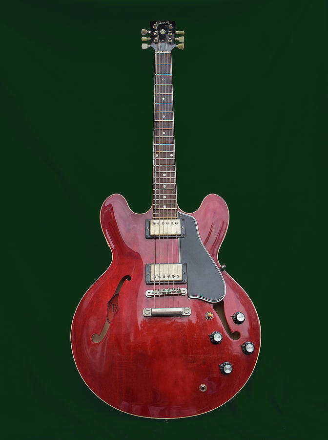 Gibson Model Es335 Td Photograph By Peter Lloyd