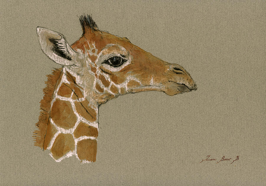 Giraffe Watercolor Painting - Giraffe head study  #2 by Juan  Bosco