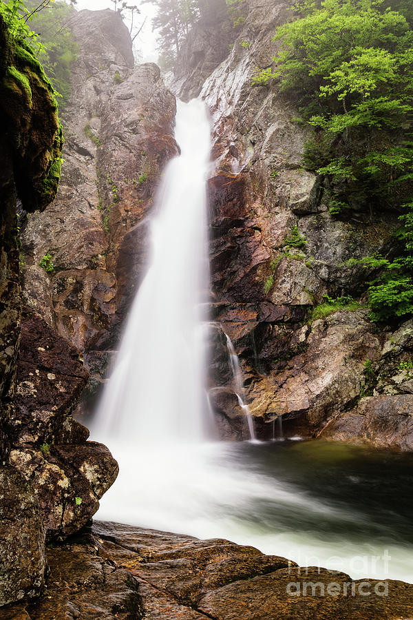 Glen Ellis Falls, Jackson, New Hampshire #2 Photograph by Dawna Moore Photography