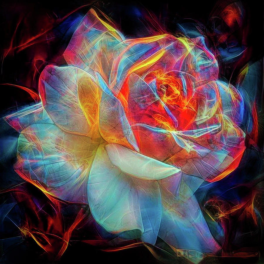 Glowing Rose Mixed Media by Lilia D