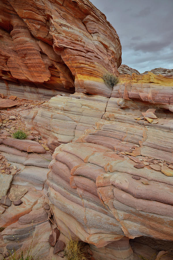 Gold Vein in Valley of Fire #2 Photograph by Ray Mathis