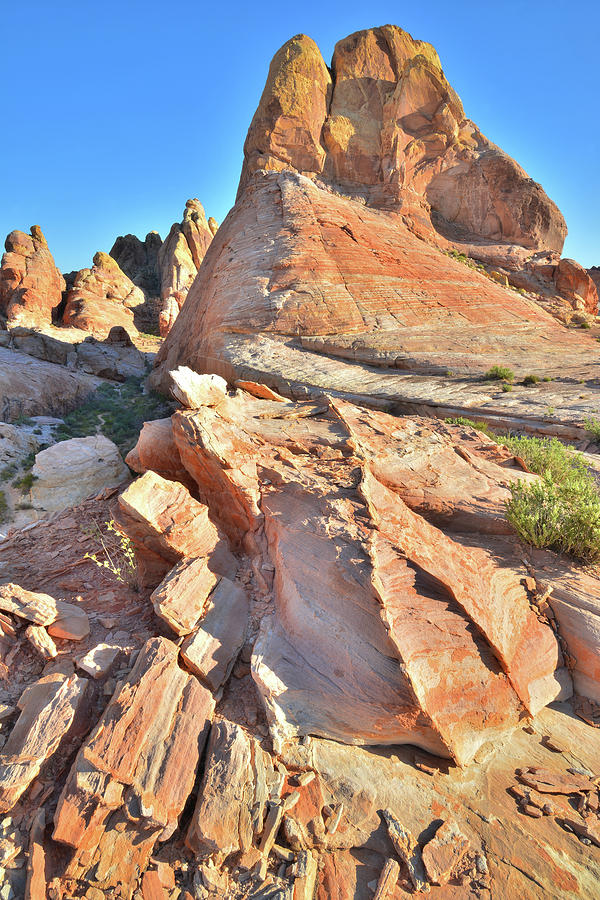 Golden Domes Back Country in Valley of Fire #1 Photograph by Ray Mathis