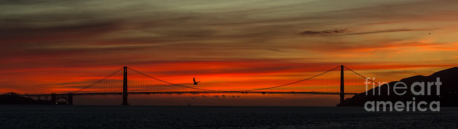 Golden Gate Bridge Photograph - Golden Gate Bridge Silhouette at Sunset #2 by David Oppenheimer