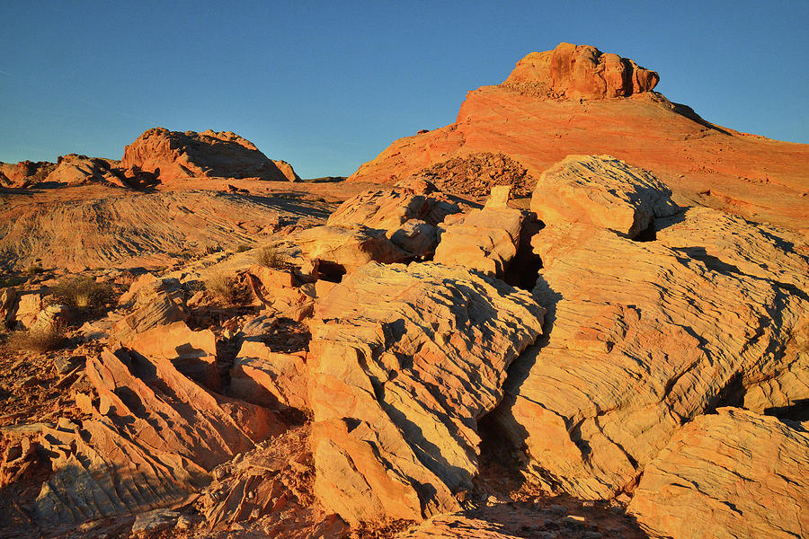 Golden Sunrise in Valley of Fire #2 Photograph by Ray Mathis