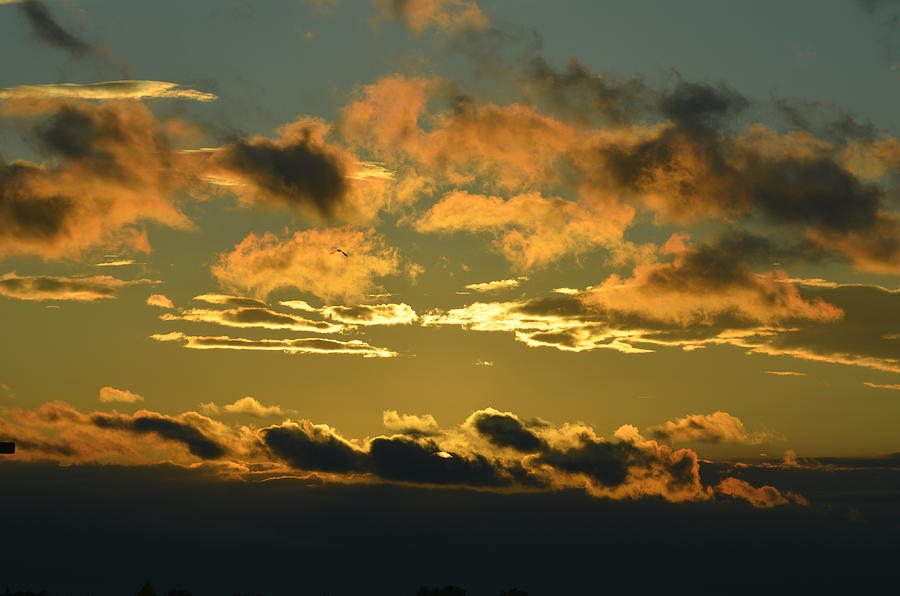 Clouds Photograph - Good morning by Paulina Roybal Clouds Photograph - Good morning by Paulina Roybal