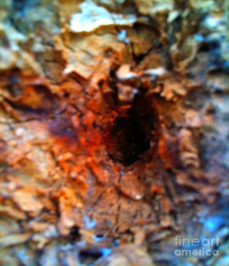 Goree Tree Texture  #2 Mixed Media by Fania Simon