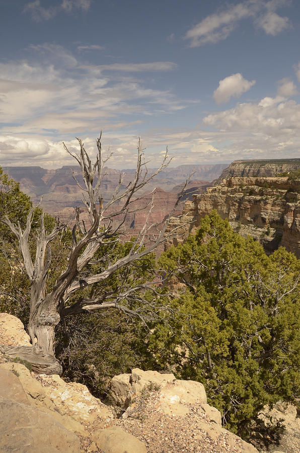 Grand Canyon Southern Rim Photograph