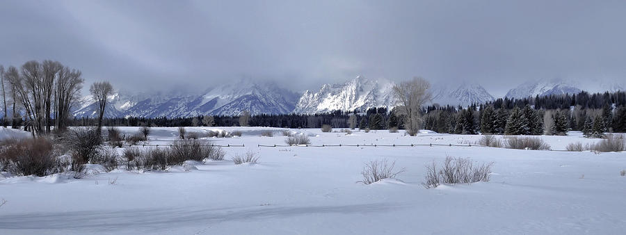 Grand Teton Winter Morning Photograph by Stephen Vecchiotti