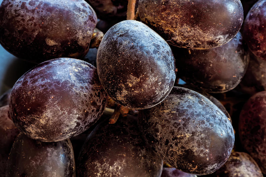 Grape Still Life #2 Photograph by Robert Ullmann