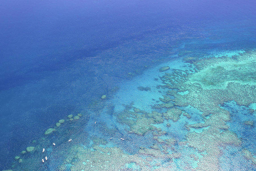 Great Barrier Reef, Australia #2 Photograph by Francesco Riccardo Iacomino