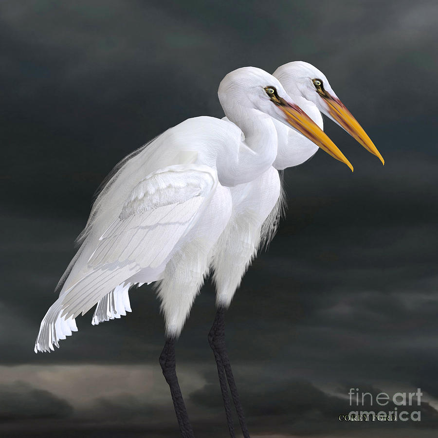 Great Egret #1 Painting by Corey Ford