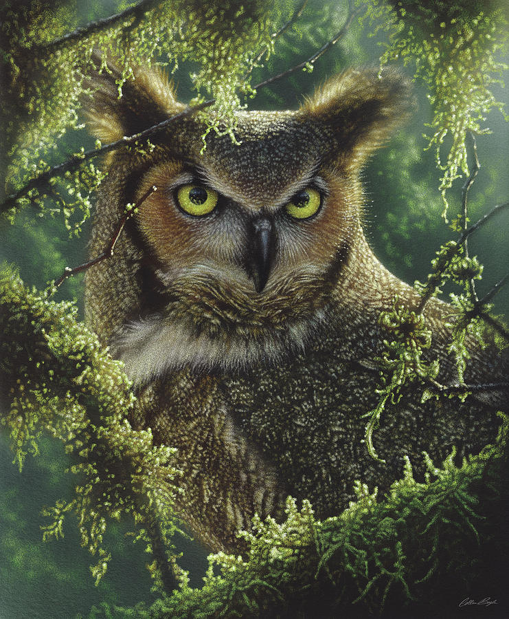 Great Horned Owl - Watching and Waiting Painting by Collin Bogle