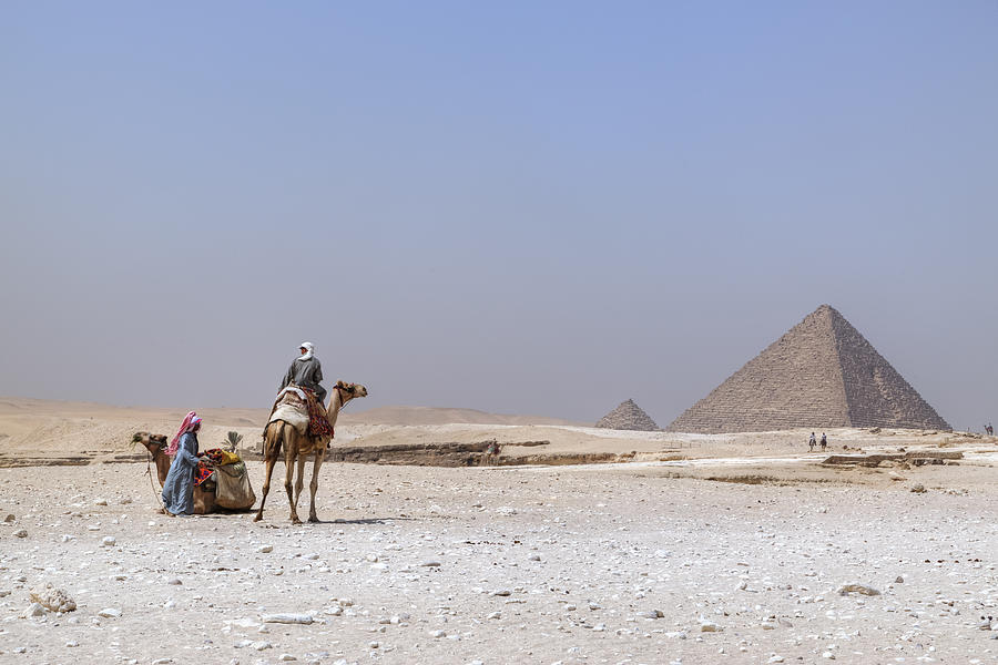 Camel Photograph - Great Pyramids of Giza - Egypt #2 by Joana Kruse